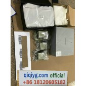 Cómo hacer un pedido en qiqiyg qiqiyg.com whatsapp oficial Q261